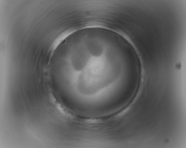 X0000114641145200910201437