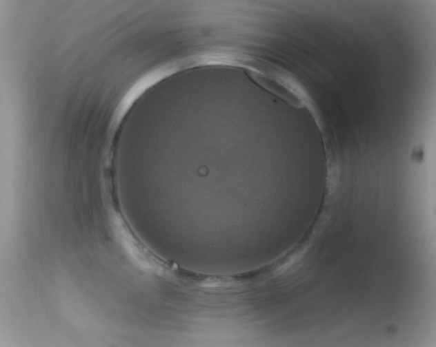 X0000114641146200910201437