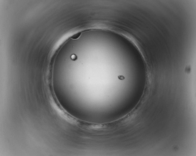 X0000114641147200910201437