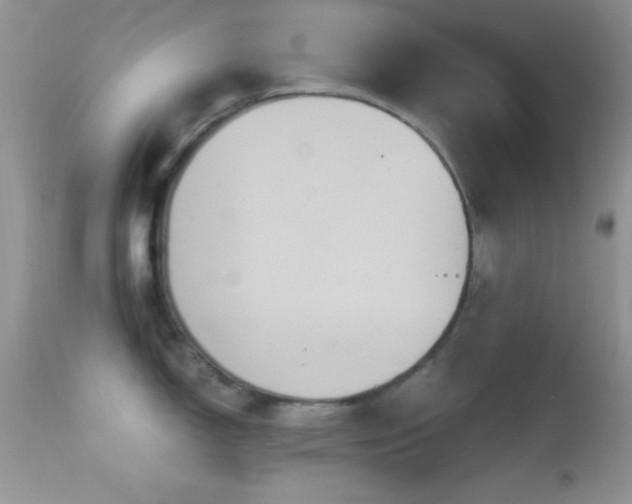 X0000114641150200910201437