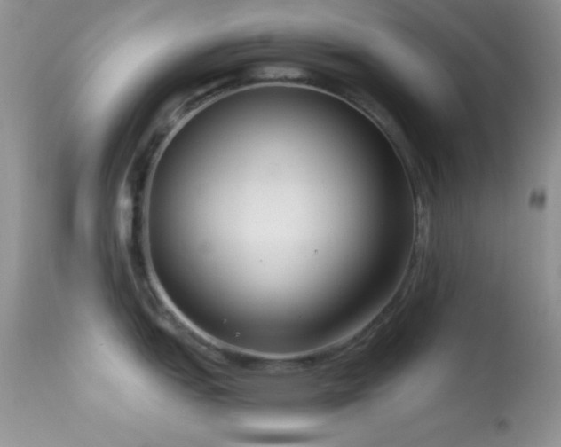 X0000114641151200910201437