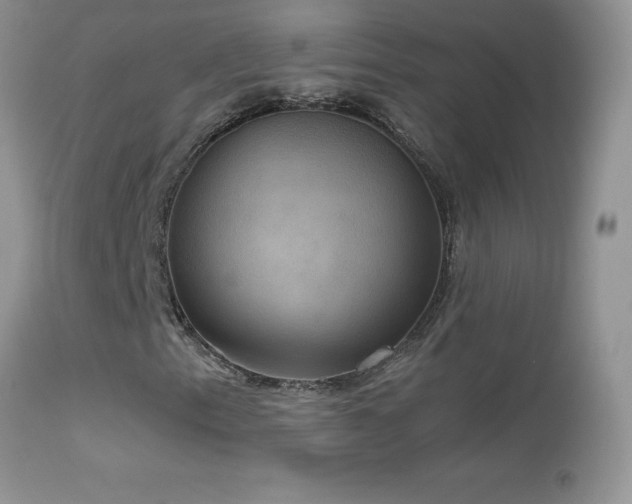 X0000114641153200910201436