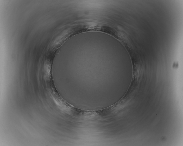X0000114641154200910201436