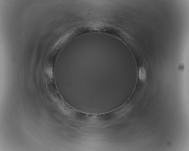 X0000114641155200910201436