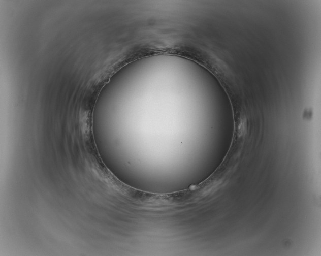 X0000114641156200910201436