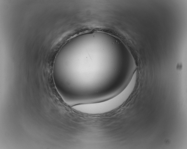 X0000114641157200910201436