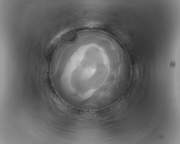 X0000114641158200910201436