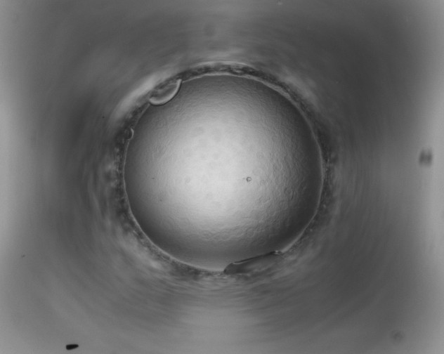 X0000114641159200910201436