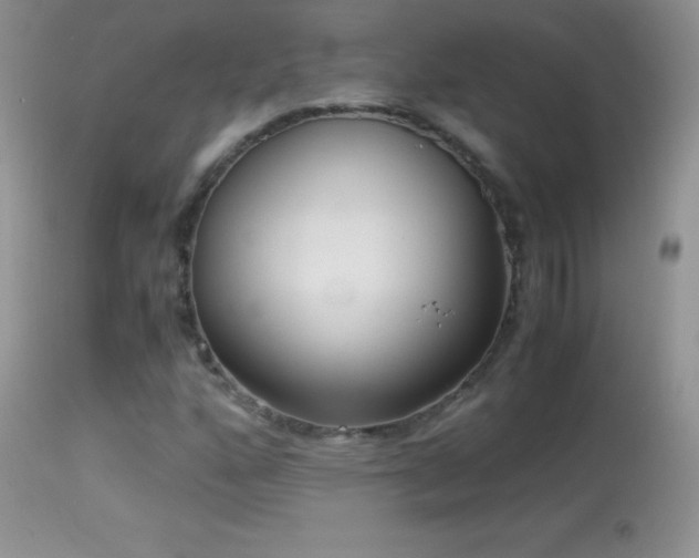 X0000114641160200910201436