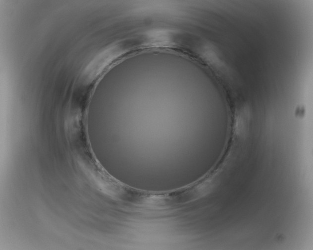X0000114641161200910201436