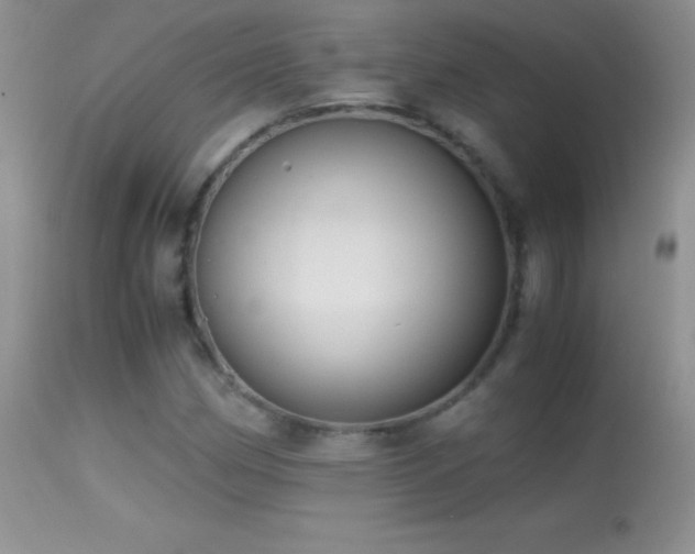 X0000114641162200910201436