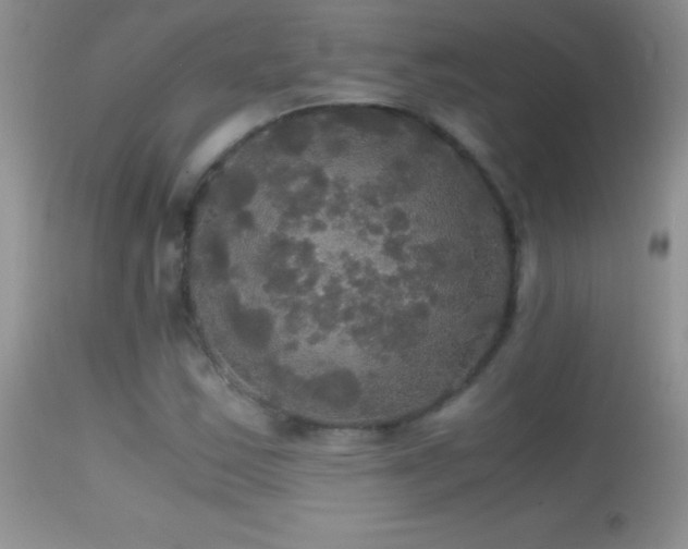 X0000114641163200910201436