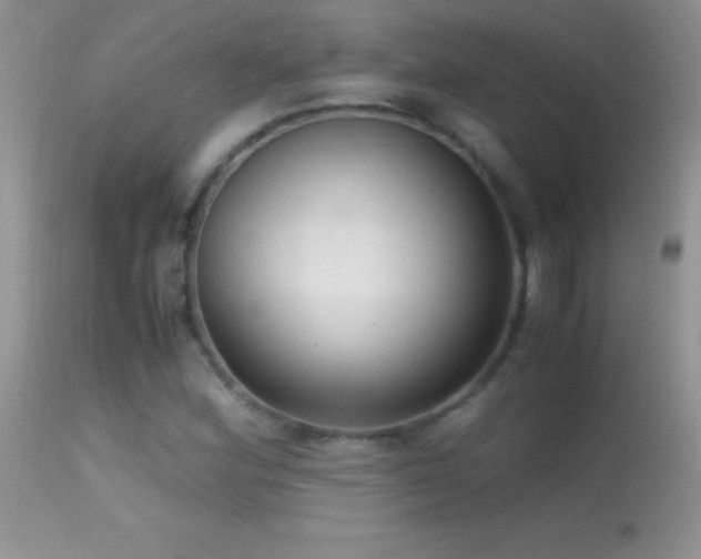 X0000114641164200910201436