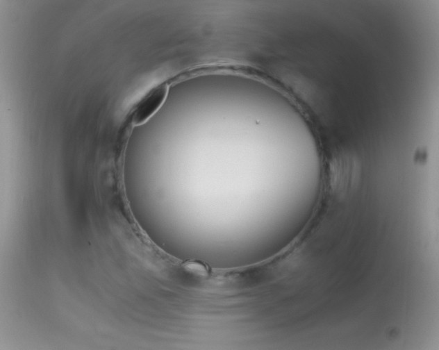 X0000114641165200910201436