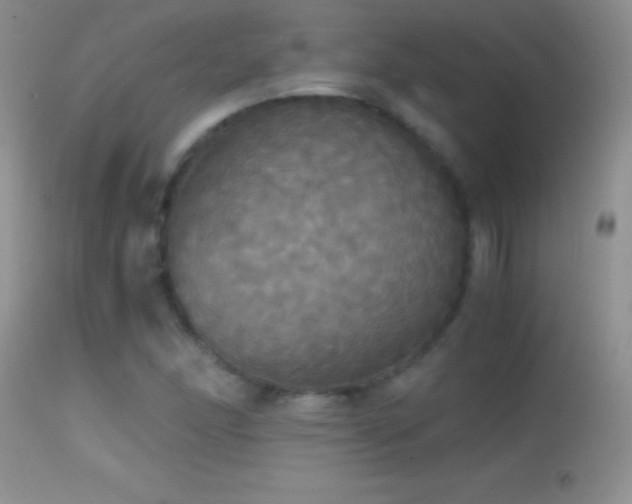 X0000114641166200910201436