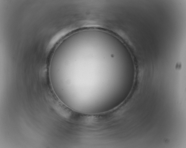 X0000114641167200910201436