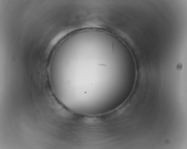 X0000114641168200910201436