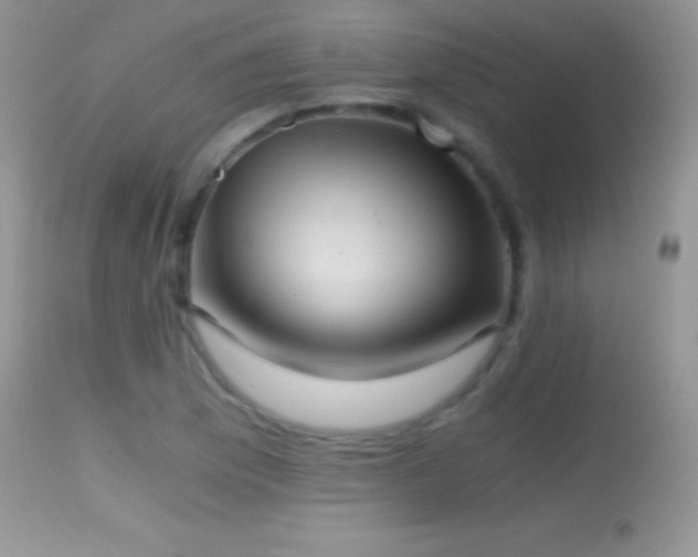 X0000114641169200910201436