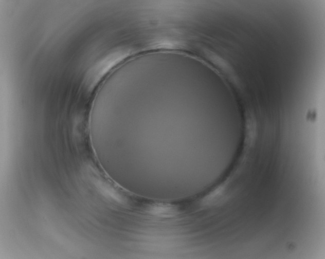 X0000114641170200910201436