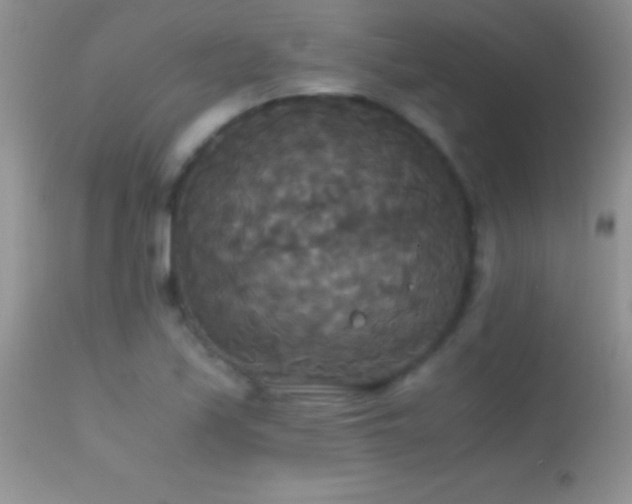 X0000114641171200910201436