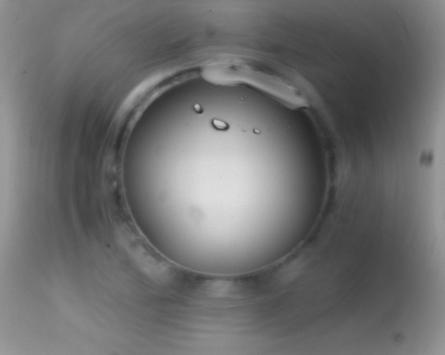 X0000114641172200910201436