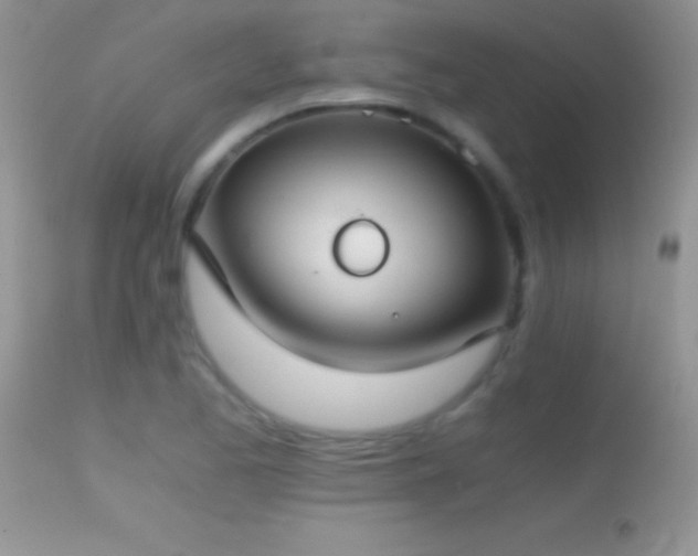 X0000114641173200910201436