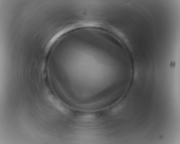 X0000114641174200910201436