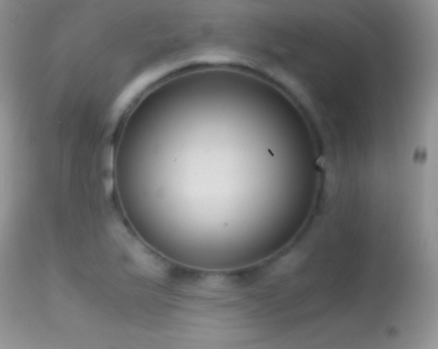 X0000114641175200910201436