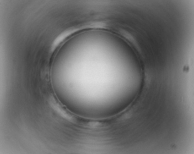 X0000114641176200910201436
