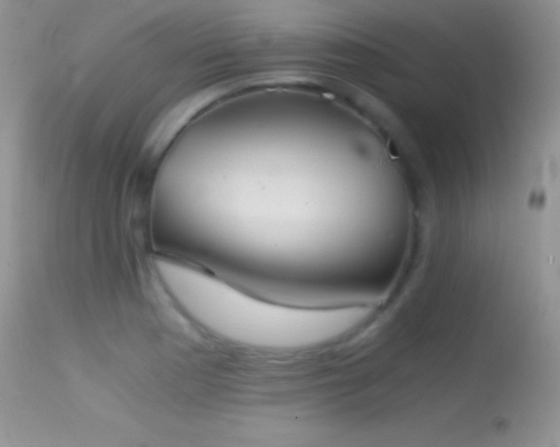 X0000114641177200910201436