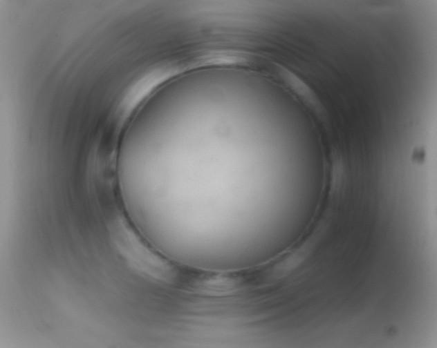 X0000114641178200910201436