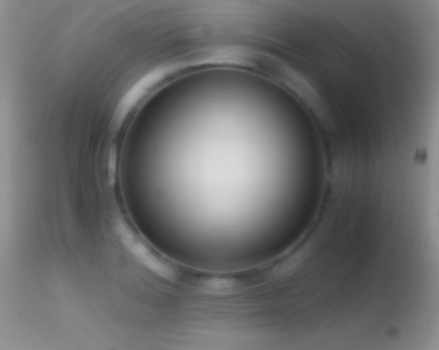 X0000114641180200910201436