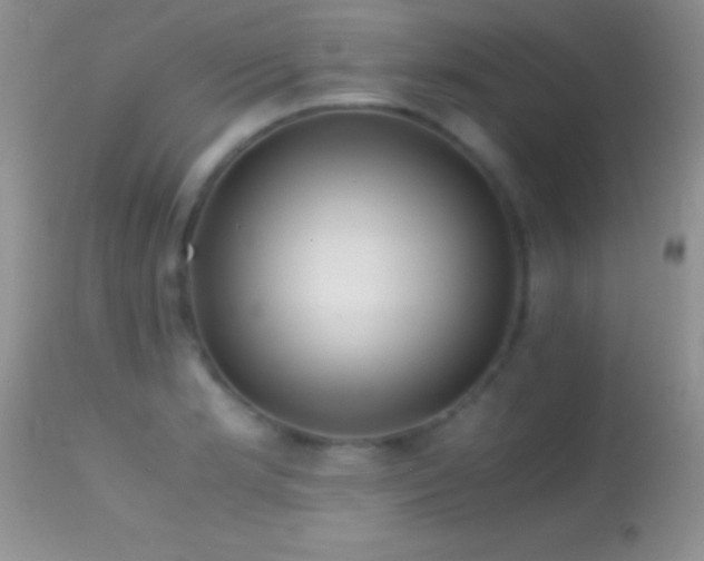 X0000114641181200910201436