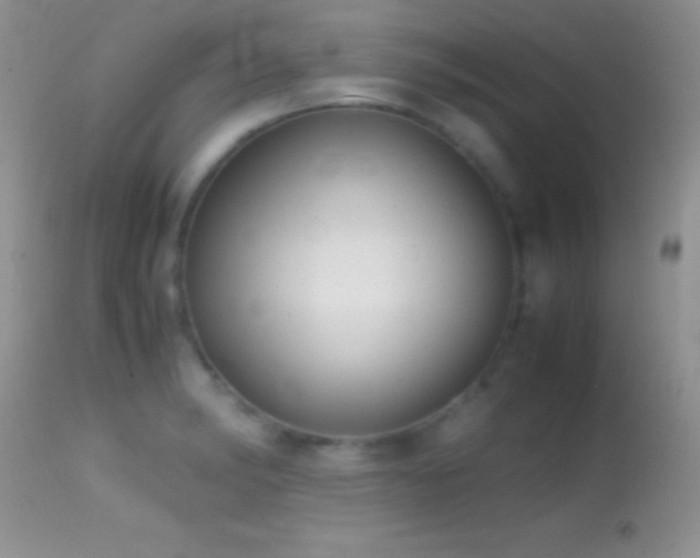 X0000114641182200910201436