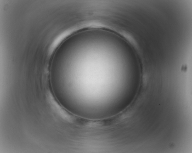 X0000114641183200910201436
