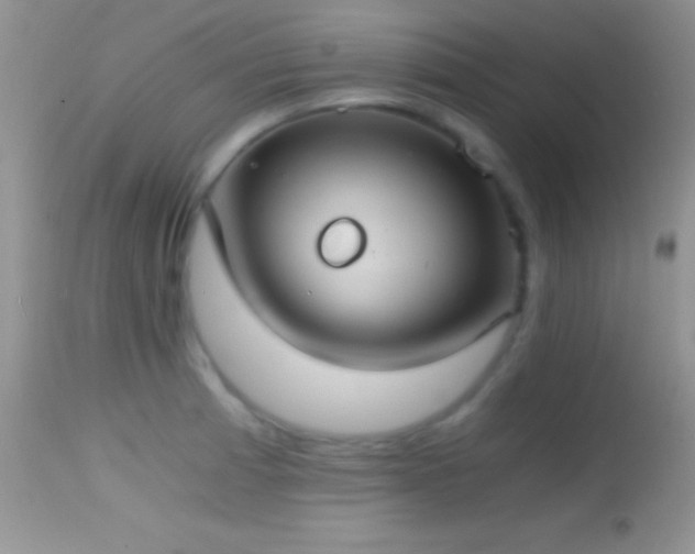 X0000114641185200910201436