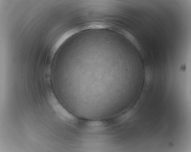 X0000114641186200910201436