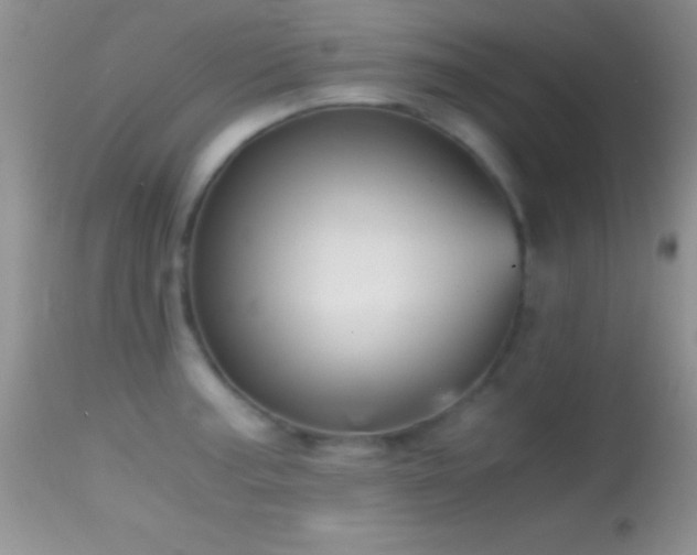X0000114641187200910201436