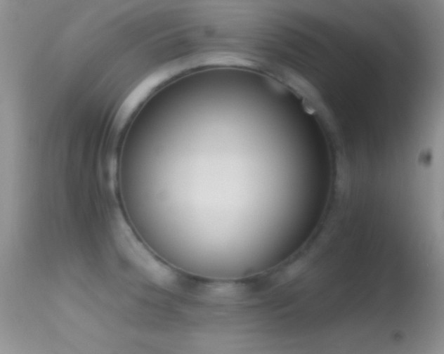 X0000114641188200910201436