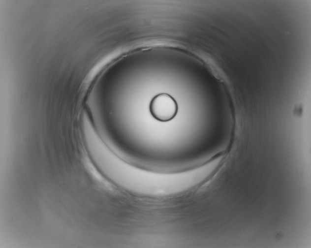 X0000114641189200910201436