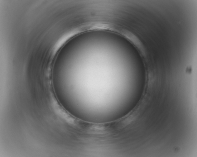 X0000114641190200910201436