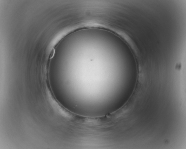 X0000114641191200910201436