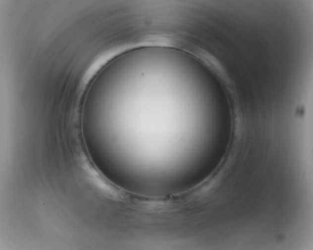 X0000114641192200910201436