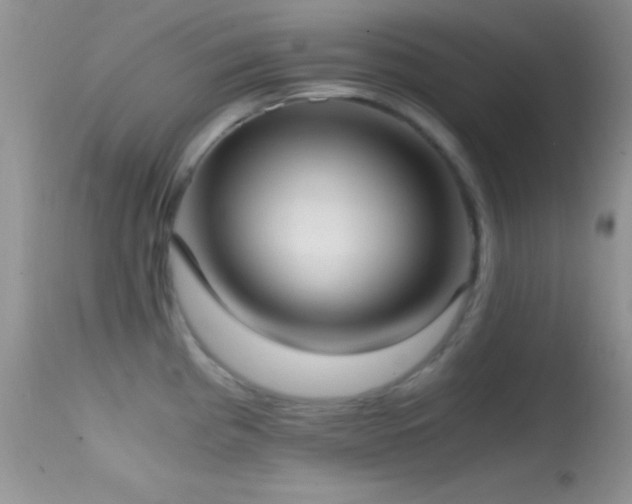 X0000114641193200910201436