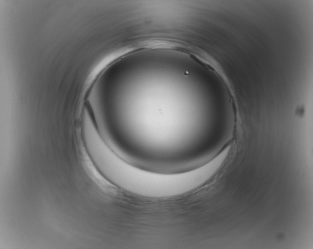 X0000114641195200910201436