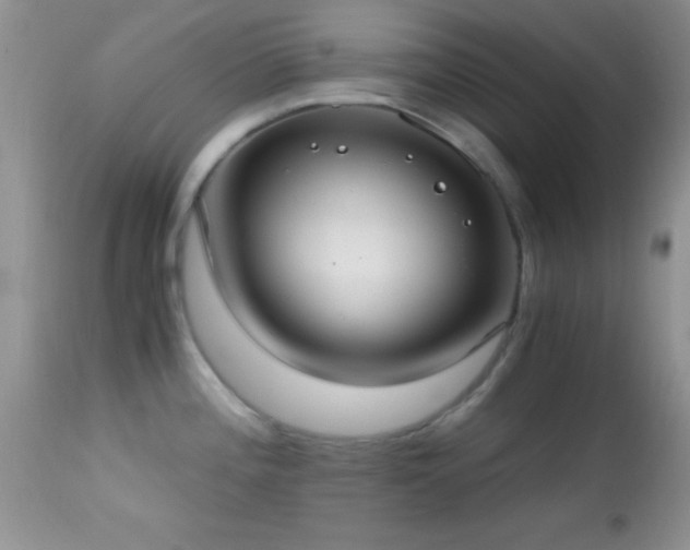 X0000114641196200910201436