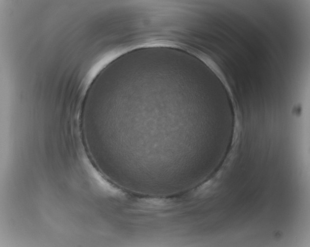 X0000114641197200910201436