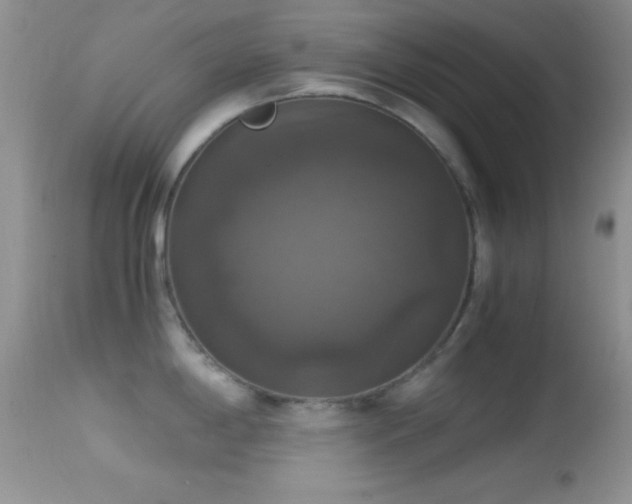 X0000114641198200910201436