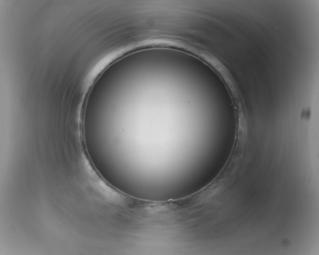 X0000114641199200910201436