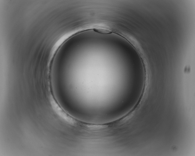 X0000114641200200910201436